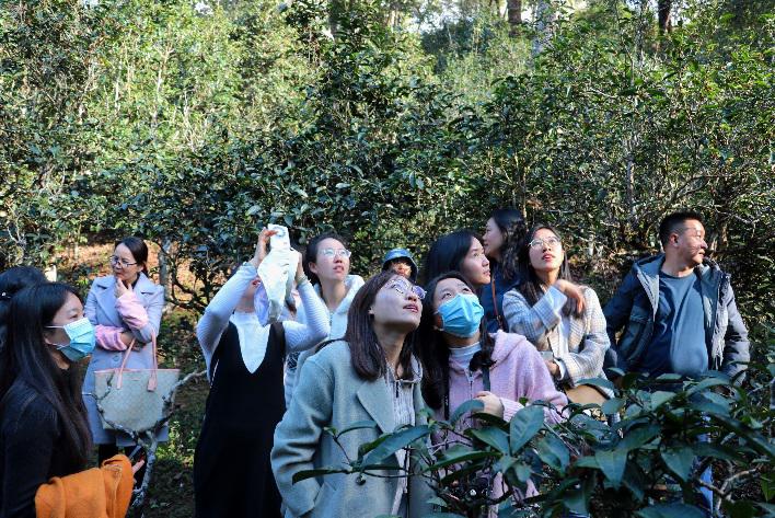 F:\2024.1.14-1.18-澜沧、孟连寒假社会调研\修图\2024.1.14-景迈山\d222ff5850113b3d2223c2d969c1801.jpg