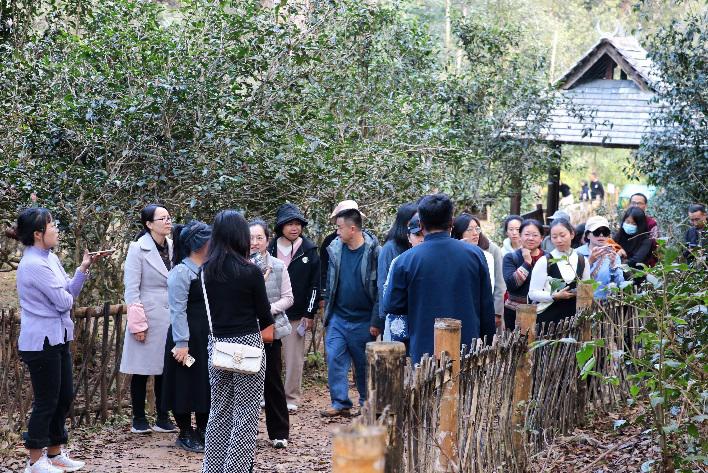 F:\2024.1.14-1.18-澜沧、孟连寒假社会调研\修图\2024.1.14-景迈山\0ef63f5a904a9381fb04d08c4bb4991.jpg