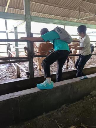 86110e55495459d91a6740851b87438