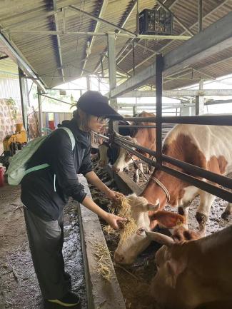 ee3c334fe4f600c11a50e0922aa4f3e